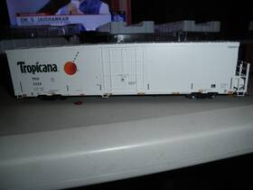 20007333 Atlas Tropicana 64ft Trinity Reefer #3228