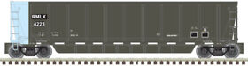 50004307 Atlas N Rmg Leasing Rmlx Acf Coalveyor Bathtub Gondola #4210