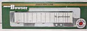40819 Bowser Ho Executive Line 53ft Platewall Roadrailer Triple Crown Norfolk Sou