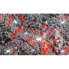 Pinecar 724771039839 Body Skin Custom Transfer Spider Web Pin3983 Pinewood Derby And Accys