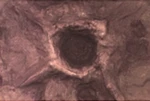 Plastruct Model Parts 91695 PS-180 Moon-crater Sheet (2 Pack). Fixed Price $15.99.