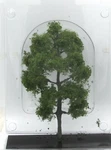 Woodland Scenics TR1623 Hickory 5 3/8" (premium Trees) Terrain Scenery Plant. Fixed Price $19.99.