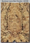 Outstanding Stabilized Spalted Cream Buckeye Burl Scales #4196, 5 13/16 X 2 1/16. Fixed Price $54.87.