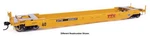 Walthers Proto Ho Scale Dttx (patched) #455842 Gunderson Rebuilt All-purpose 40'. Fixed Price $42.95.