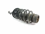 1J0413031AG Front Shock Absorber Rh 128765 Volkswagen New Beetle 9C1 1C1 1998. Fixed Price $192.00.