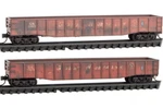 Micro Trains Scale Great Northern 50' Gondola Weathered 2 Pack 99306001. Fixed Price $61.42.
