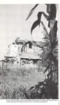 Illinois Terminal Freight Train 200 Peoria Line Holmes Siding Image. Fixed Price $19.95.