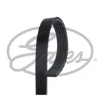 V-ribbed Belt Micro-v Gates 5PK1243 For Mitsubishi Asx. Fixed Price $36.00.
