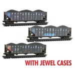 Micro-trains 98305072 Reading & Northern Rbmn Weathered 100-TON Coal Hopper. Fixed Price $89.95.