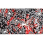 Pinecar Body Skin Custom Transfer Spider Web PIN3983 Pinewood Derby & Accys. Fixed Price $12.98.
