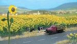 Walthers Scenemaster 949-1119 Ho Scale Sunflower Field -- Kit PKG(60). Fixed Price $11.99.