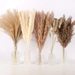 N&t Neting 75PCS Pampas DECOR-10PCS White Grass, 20PCS Brown Pam.... Fixed Price $14.98.