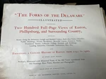 The Forks Of Delaware, Illustrated, Ethan Weaver, 1900 Rare Incomplete B. Fixed Price $35.00.
