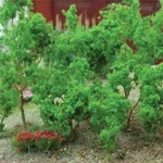 Mp Scenery Products 70019 Scale Light Green Branches 50/PK. Fixed Price $9.34.