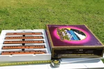Scale - Mth Premier 70' Illinois Central Passenger Cars Your Choice. Fixed Price $245.00.