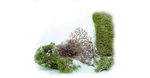 Heki 1530 Pack Of Trees In Kit Height Cm 2-6 (with Flor Foliage). Fixed Price $23.24.